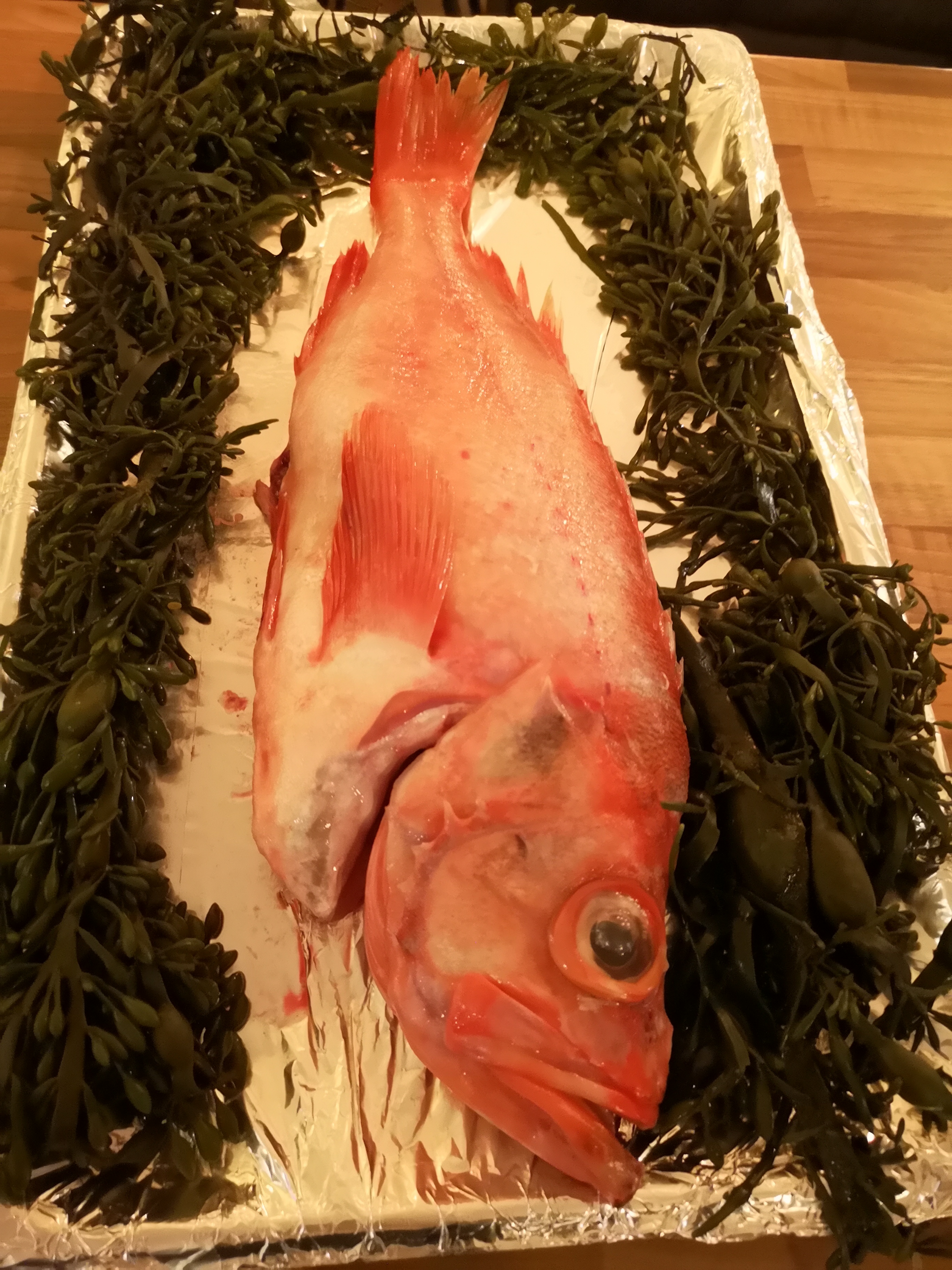 catch of the day